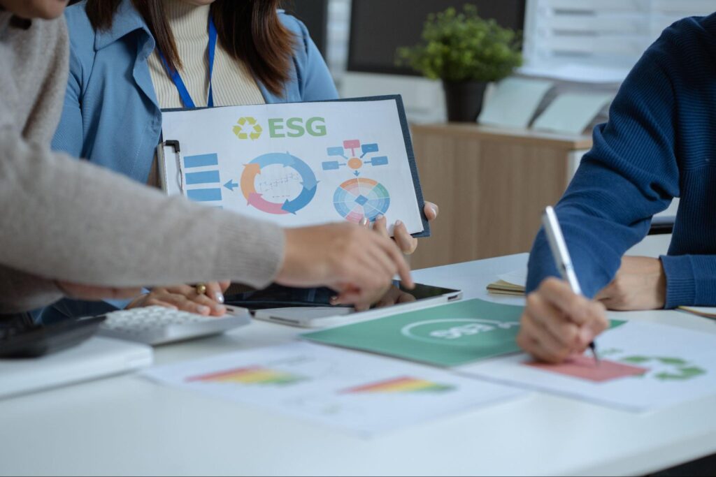 koncepcja implementacji zasad ESG w strategii firmy
